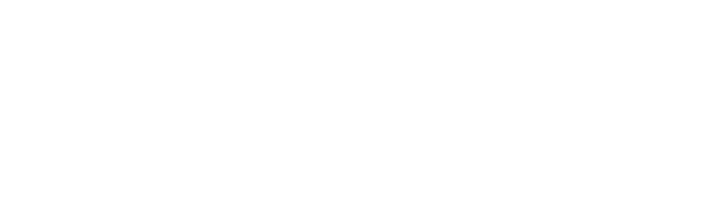 Rewize